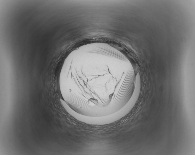 X0000111120965200908111016
