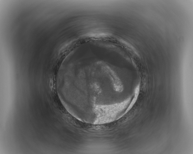 X0000111120966200908111016