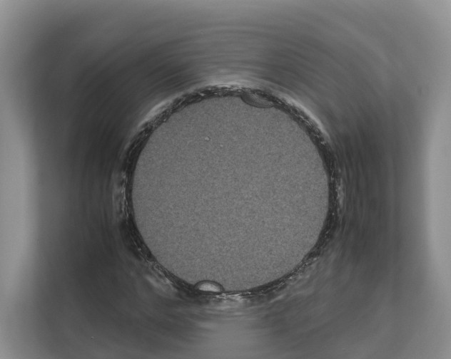 X0000111120968200908111016