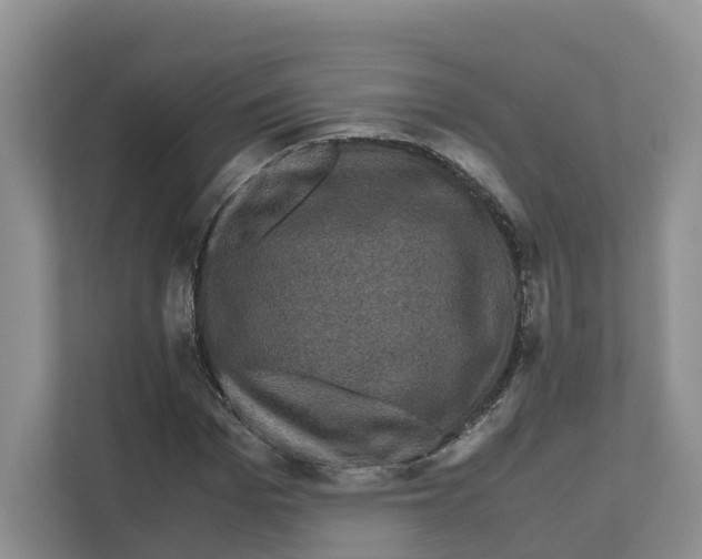 X0000111120969200908111016