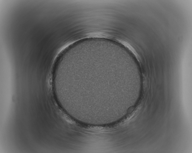 X0000111120971200908111016