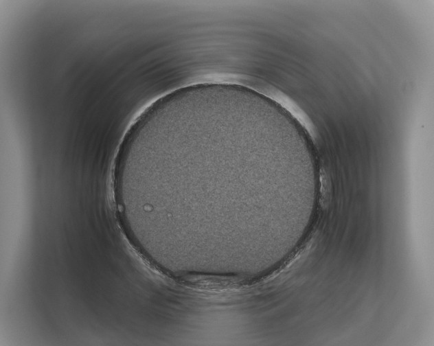 X0000111120972200908111015