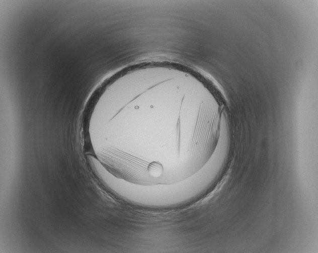 X0000111120973200908111015
