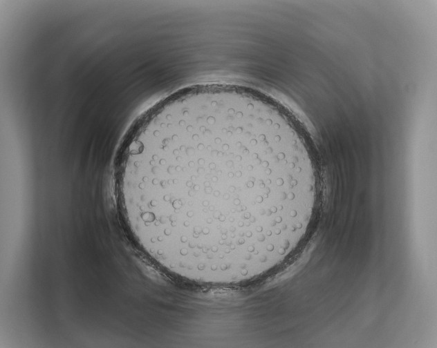 X0000111120974200908111015