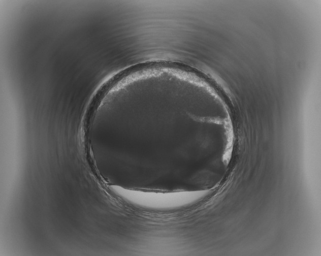 X0000111120975200908111015