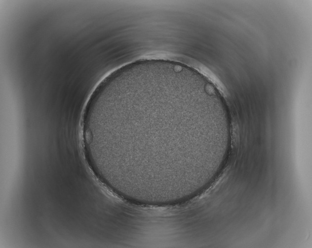 X0000111120976200908111015