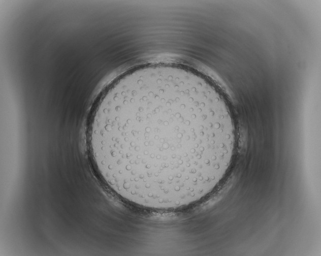 X0000111120978200908111015