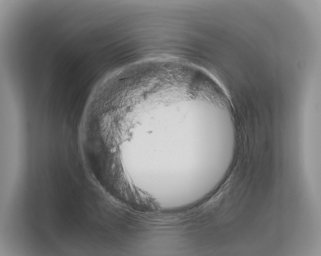 X0000111120979200908111015