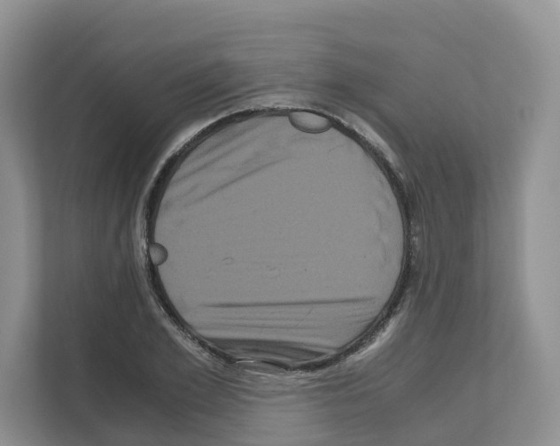 X0000111120981200908111015