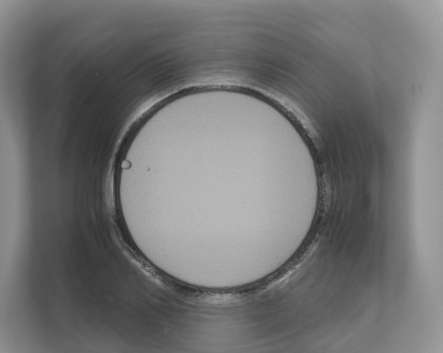 X0000111120982200908111015