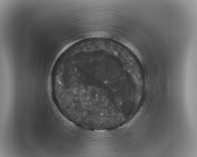 X0000111120983200908111015