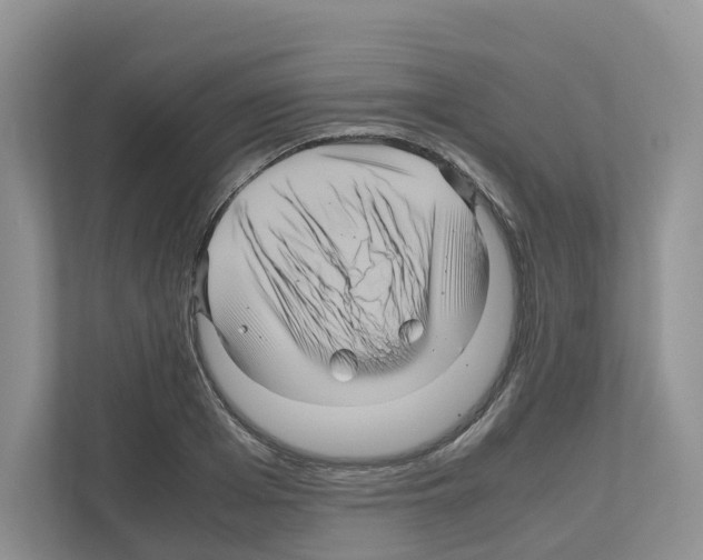 X0000111120985200908111015
