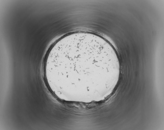 X0000111120987200908111015