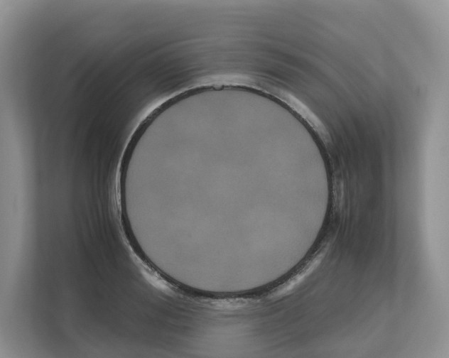X0000111120988200908111015