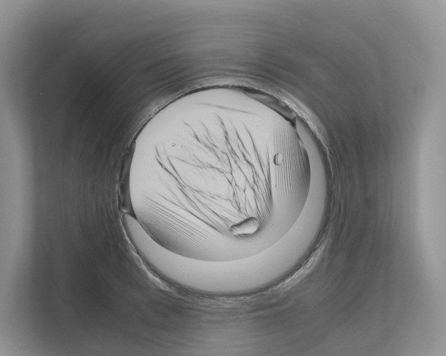 X0000111120993200908111015