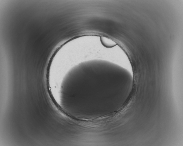 X0000111120995200908111015