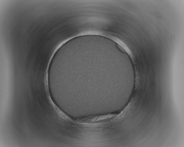 X0000111120996200908111015
