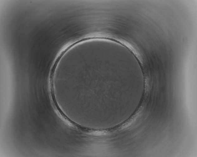 X0000111120998200908111015