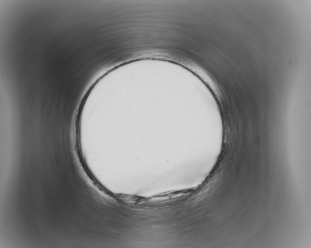 X0000111120999200908111015