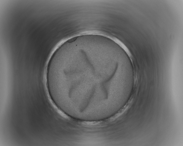 X0000111121005200908111015