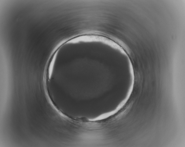 X0000111121007200908111015