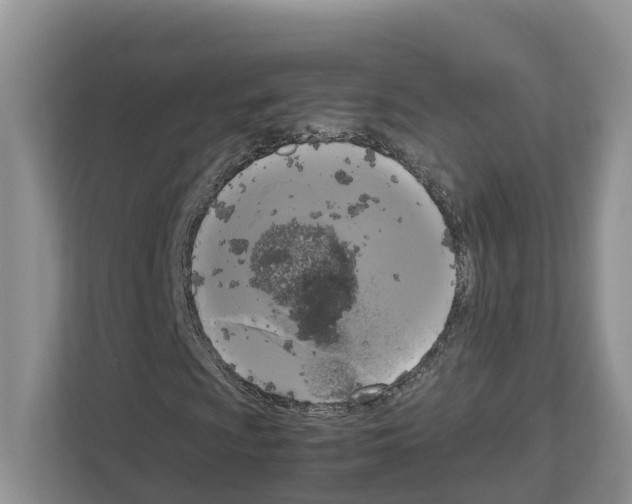 X0000111121009200908111014