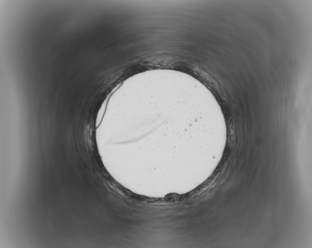 X0000111121010200908111014