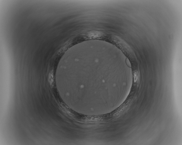 X0000111121011200908111014