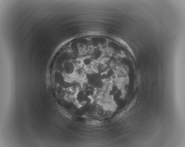 X0000111121019200908111015