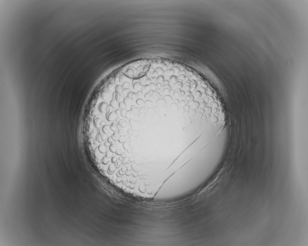 X0000111121020200908111015