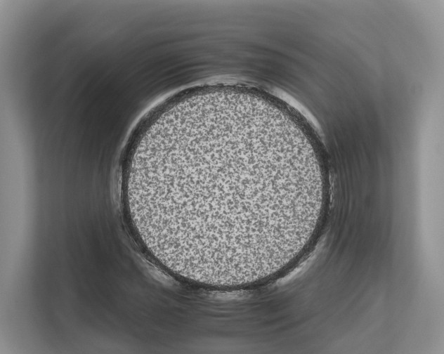 X0000111121021200908111015