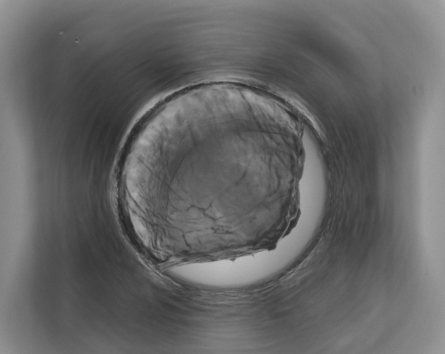 X0000111121024200908111015