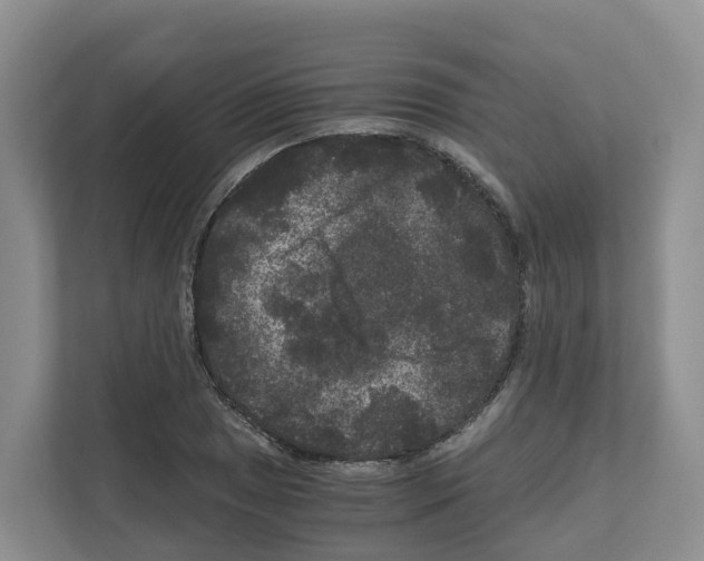 X0000111121025200908111015