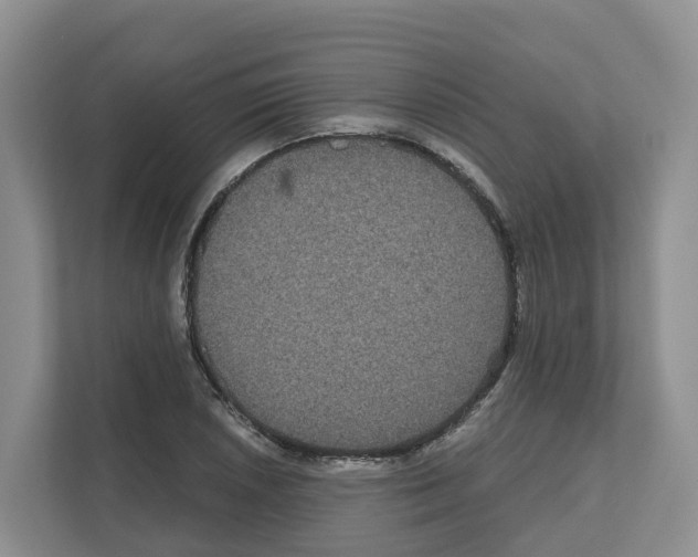 X0000111121026200908111015