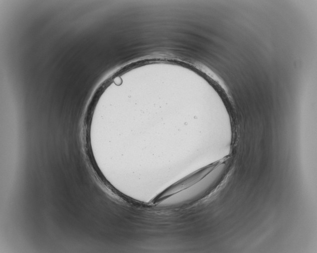 X0000111121029200908111015
