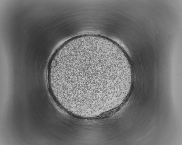 X0000111121030200908111015