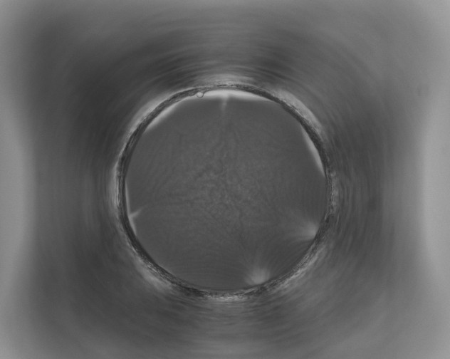 X0000111121031200908111015