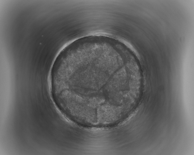 X0000111121032200908111015
