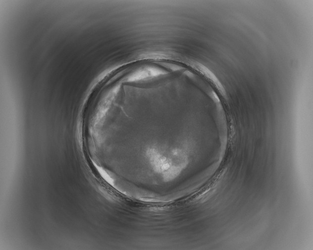 X0000111121035200908111015