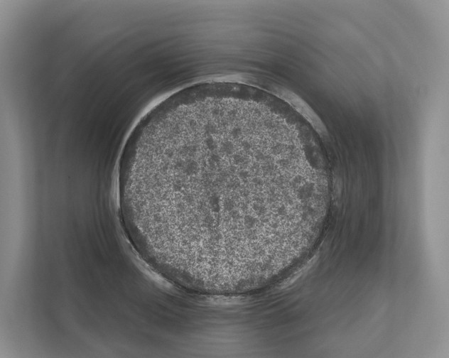 X0000111121036200908111015