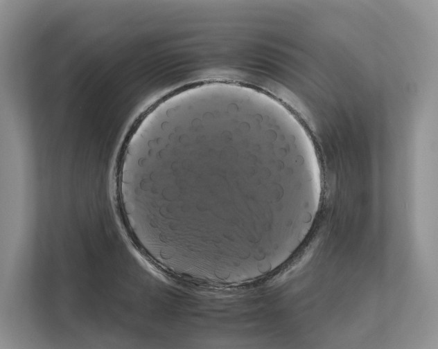 X0000111121037200908111015