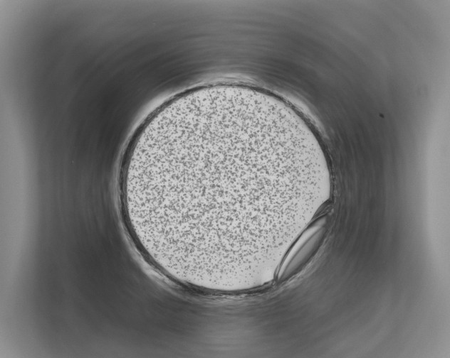 X0000111121038200908111015