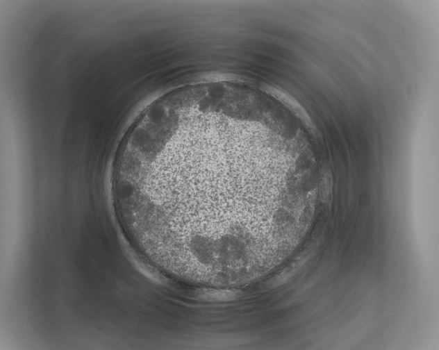 X0000111121039200908111015