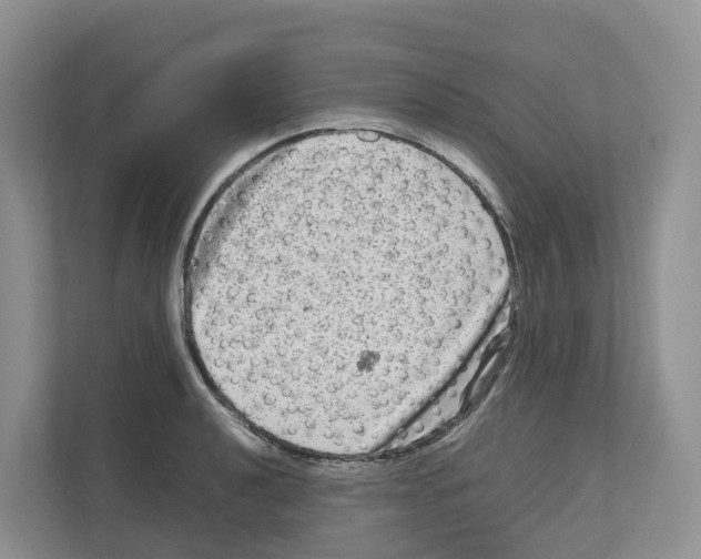 X0000111121040200908111015