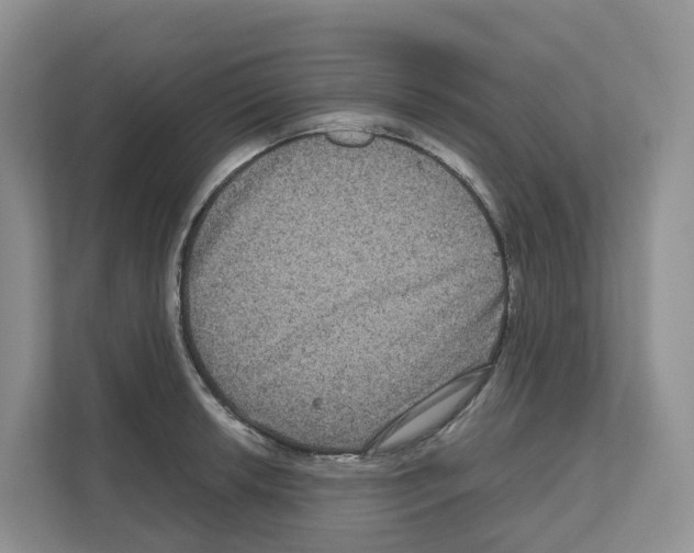 X0000111121042200908111015