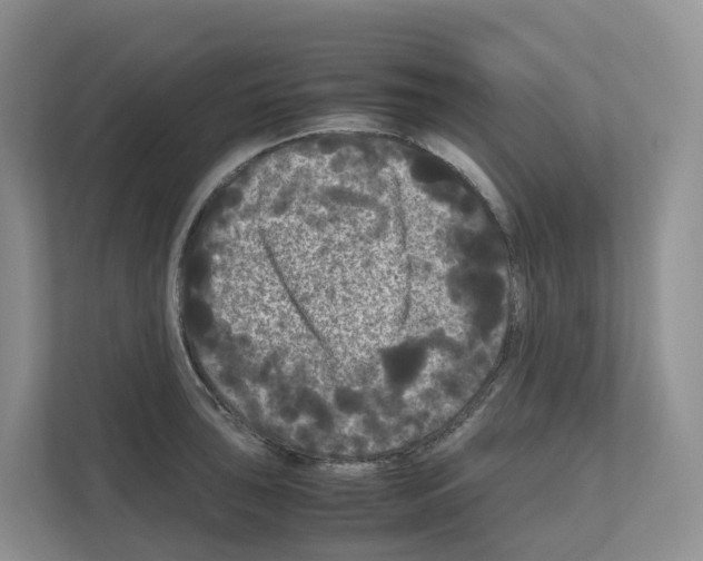 X0000111121043200908111015