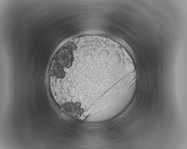 X0000111121044200908111015