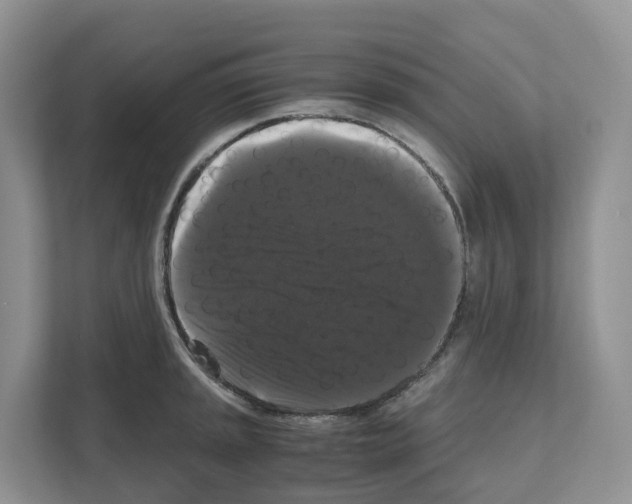 X0000111121045200908111015