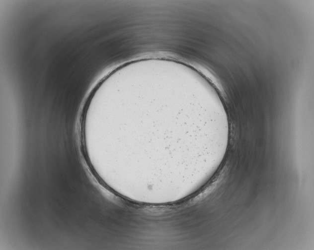 X0000111121046200908111015