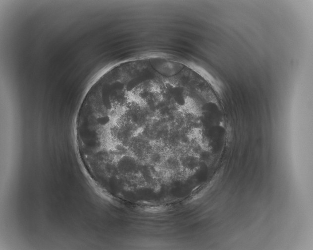 X0000111121047200908111015